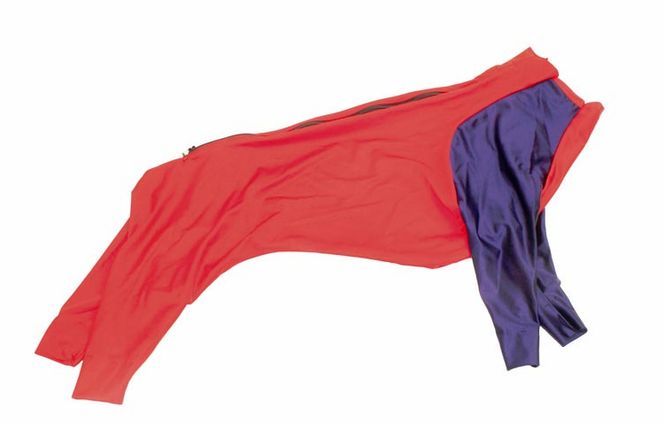 Hovedbilde Jægerens superdekken hann